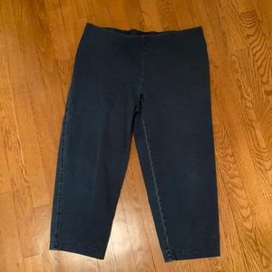 PureJill J Jill indigo crops size M